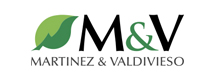 Martínez y Valdivieso