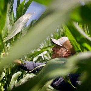 Kevin Berg, Copperhead Agricultural Products | Agri Business Review | 