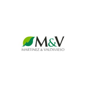 Martínez y Valdivieso (MyV)