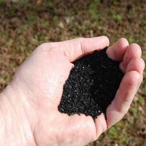 Jeff Waldon, Restoration Bioproducts | Agri Business Review | 