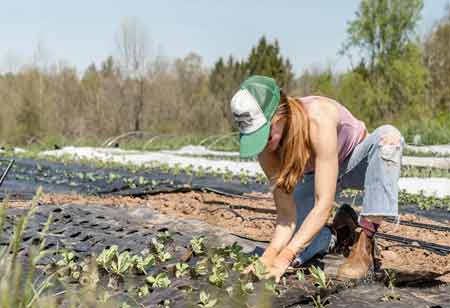 Phoenix Duggar, Corporate Social Responsibility Manager, Ardent Mills | Agri Business Review