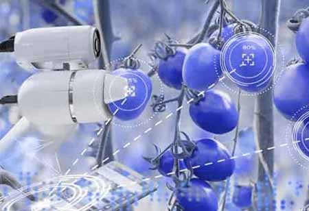 Is Machine Vision an Advantage For Agriculture?