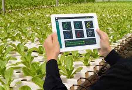 Post Holdings: The Art of Scaling Operations in Ag-Business 