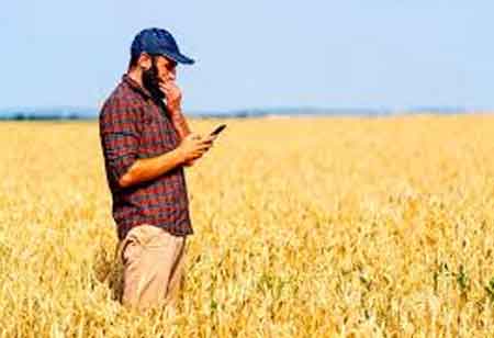 Tate & Lyle: Lessons on Scaling a Regenerative Agriculture Programme