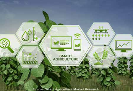The Rise of Vertical Farming