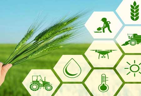 Achieving Sustainable Agriculture through Precision Farming