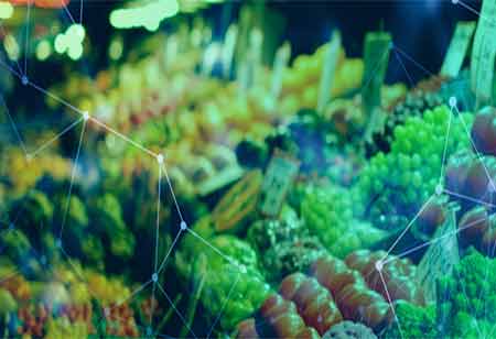 The Evolving Landscape Of Clinical Trial