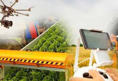 Organic Fertilizer: Achieving the Promise