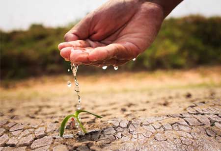 The Role of Biochar in Water-Scarce Agriculture