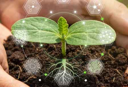 Kingenta Ecological Engineering Group Co., Ltd: Engineering Crop Resilience through Precision Biostimulant Systems