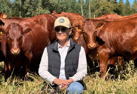 Fazenda Santa Silvéria: Scaling Crossbreeding Under Field Conditions