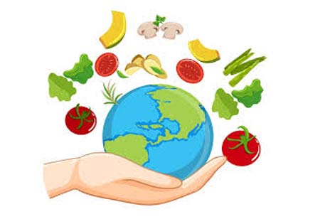Food Sustainability 101: Safety And Security