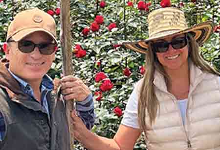 Dream Farms: From Premium Roses to Floral Innovation Dream Farms: From Premium Roses to Floral Innovation