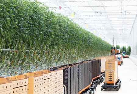 James Martin, Executive Vice President - Cotton Operations, Parkdale Mills | Agri Business Review