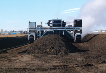 Sowing Seeds of Sustainability for a Greener Tomorrow