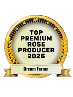Top Premium Rose Producer 2026