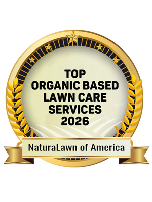 Top Organic Based Lawn Care Services 2026